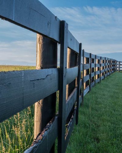 Fence-Photo